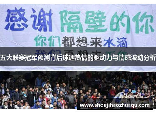 五大联赛冠军预测背后球迷热情的驱动力与情感波动分析