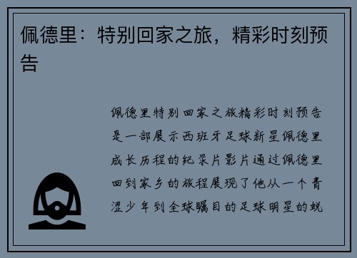 佩德里：特别回家之旅，精彩时刻预告