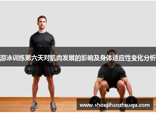 游泳训练第六天对肌肉发展的影响及身体适应性变化分析