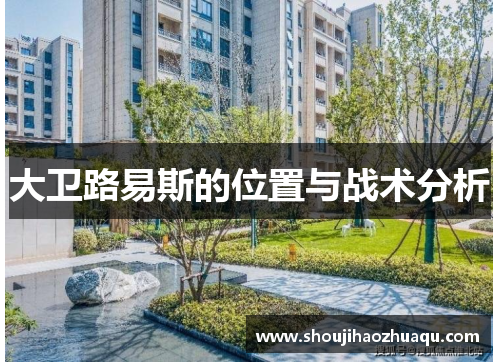 大卫路易斯的位置与战术分析 大卫路易斯的位置与战术分析